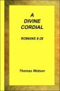 A Divine Cordial - Romans 8 - Preview