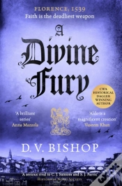 Capa do artigo A Divine Fury