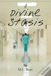 Capa do artigo A Divine Stasis
