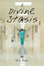 A Divine Stasis - Preview