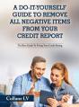 A Do-It-Yourself Guide To Remove All Negative Items From Your Credit Report - Preview