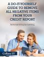 A Do-It-Yourself Guide To Remove All Negative Items From Your Credit Report - Preview