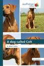 A Dog Called Colt - Preview