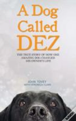 Capa do artigo A Dog Called Dez