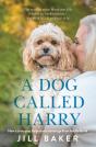 A Dog Called Harry - Preview