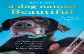 A Dog Named Beautiful