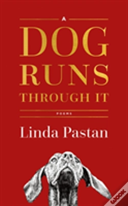 Capa do artigo A Dog Runs Through It