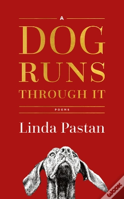Capa do artigo A Dog Runs Through It