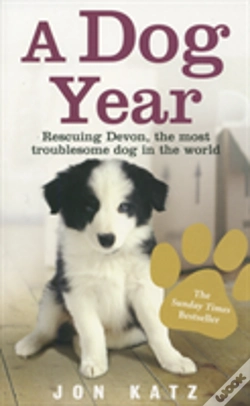 Capa do artigo A Dog Year