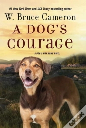 Capa do artigo A Dog