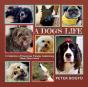 A Dog'S Life - Preview