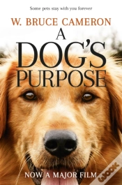 Capa do artigo A Dog