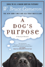 A Dog'S Purpose - Preview
