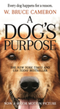 A Dog'S Purpose - Preview