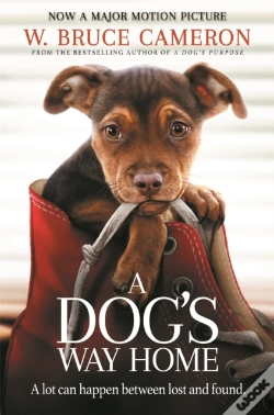 Capa do artigo A Dog'S Way Home