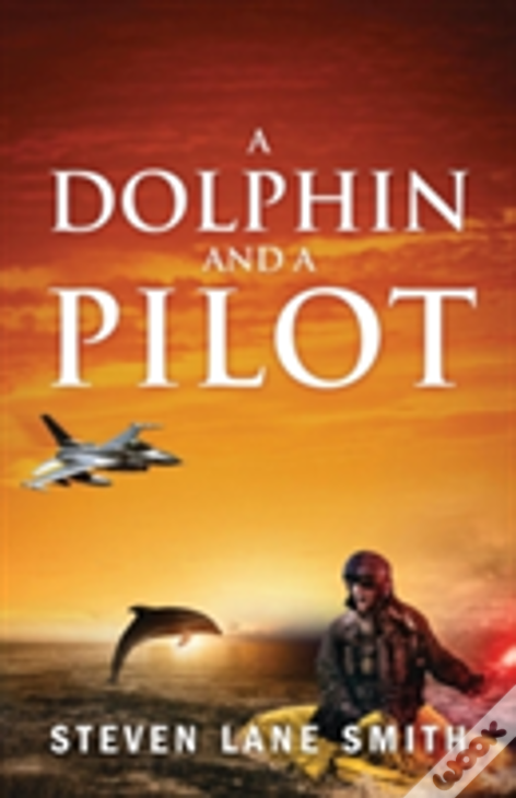 A Dolphin And A Pilot