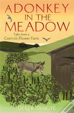 Capa do artigo A Donkey In The Meadow