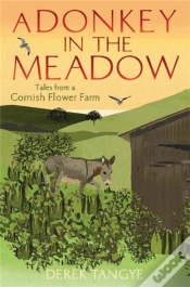 Capa do artigo A Donkey In The Meadow
