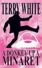 A Donkey Up A Minaret - Preview