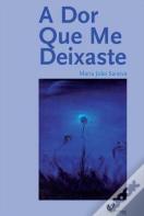 A Dor que me Deixaste