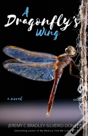 Capa do artigo A Dragonfly