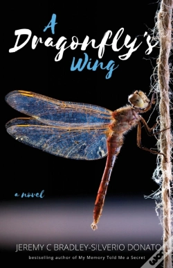 Capa do artigo A Dragonfly'S Wing