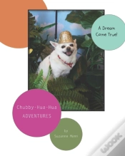 Capa do artigo A Dream Come True