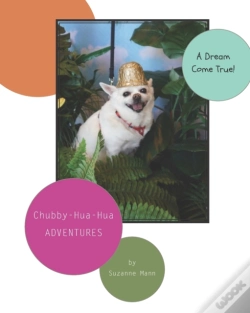 Capa do artigo A Dream Come True
