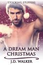 A Dream Man Christmas - Preview