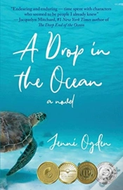 Capa do artigo A Drop In The Ocean