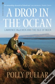 Capa do artigo A Drop In The Ocean