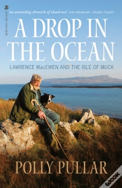 Capa do artigo A Drop In The Ocean