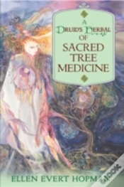 Capa do artigo A Druid