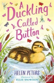 Capa do artigo A Duckling Called Button