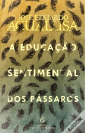 A Educação Sentimental dos Pássaros