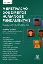 A Efetivação Dos Direitos Humanos E Fundamentais - Preview