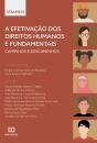 A Efetivação Dos Direitos Humanos E Fundamentais - Preview