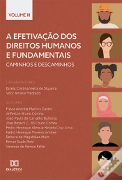 Capa do artigo A Efetivação Dos Direitos Humanos E Fundamentais