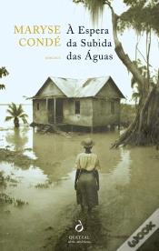 Capa do artigo À Espera da Subida das Águas