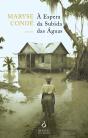 À Espera da Subida das Águas - Preview