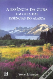 Capa do artigo A Essência da Cura