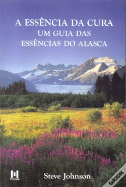 Capa do artigo A Essência da Cura