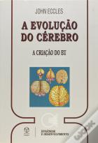 A Evolução do Cérebro