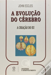Capa do artigo A Evolução do Cérebro