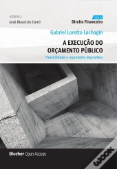A Execução Do Orçamento Público