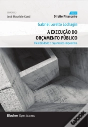 Capa do artigo A Execução Do Orçamento Público