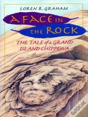 Capa do artigo A Face In The Rock