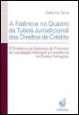 A Falência no Quadro da Tutela Jurisdicional dos Direitos de Crédito - Preview