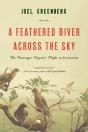 A Feathered River Across The Sky - Preview