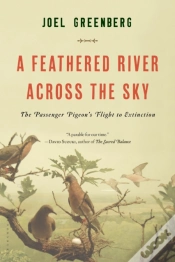 Capa do artigo A Feathered River Across The Sky